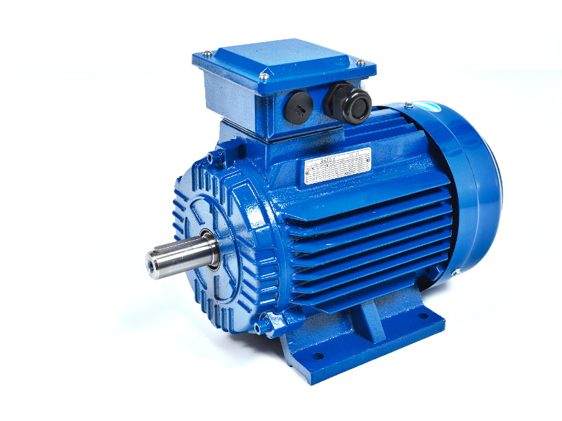 Amtecs 3.0kW (4HP) Three Phase Motor 2-Pole (3000 rpm) 100 Frame