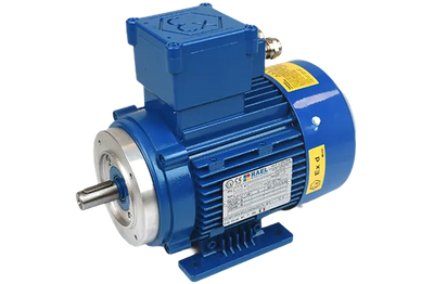 Hazardous Area Motors