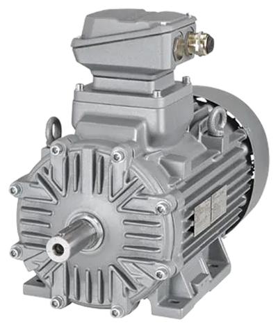 Explosion-proof 1MB3 Motors