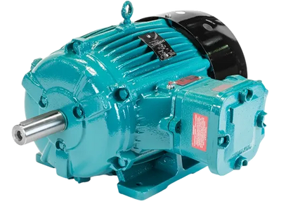 Hazardous Area Motors